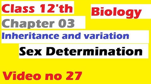 sex determination chapter 3 inheritance and variation biology class 12th hsc marathi video no 27