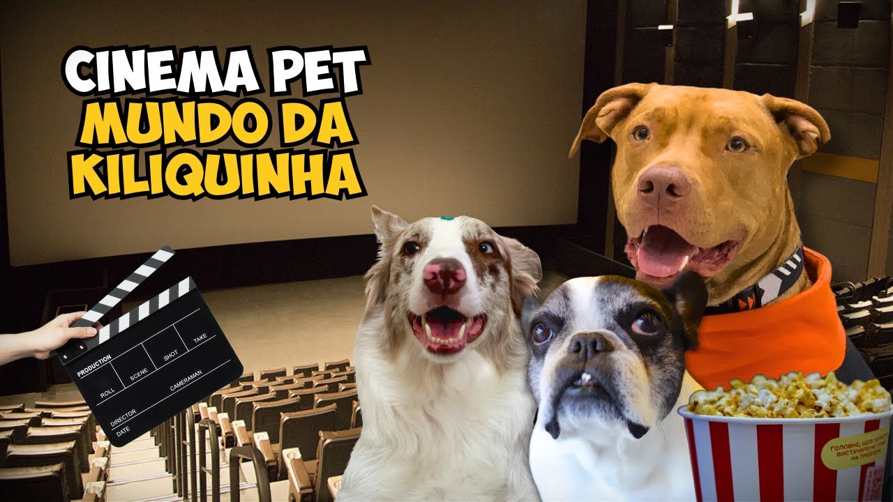 Dia De Estreia: Fomos Assistir O Desenho Da Kiliquinha No Cinema Pet!