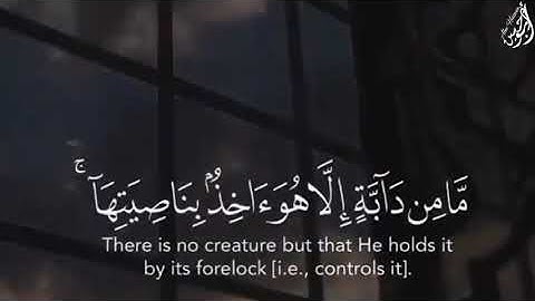 إِنِّي تَوَكَّلْتُ عَلَى اللَّهِ رَبِّي وَرَبِّكُم - (آيات من سورة هود) - القارئ ماهر المعيقلي