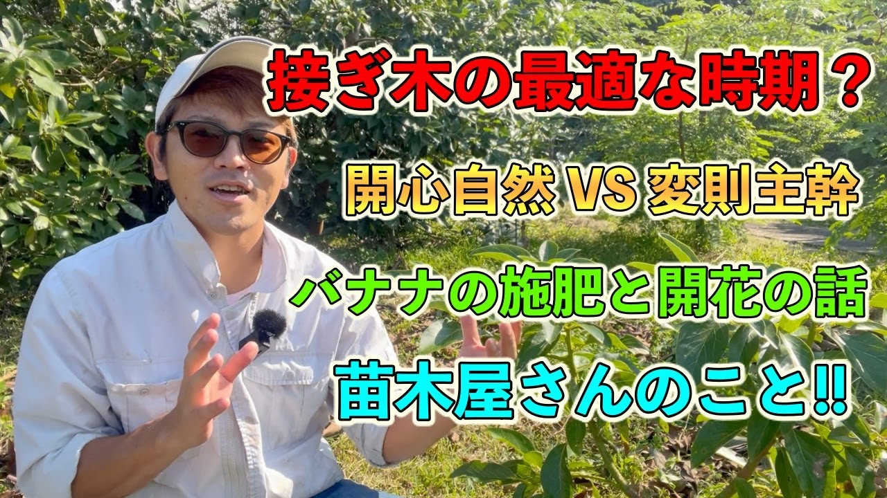 接ぎ木・挿し木の最適な時期？樹形は2種類で良い？バナナの施肥と開花