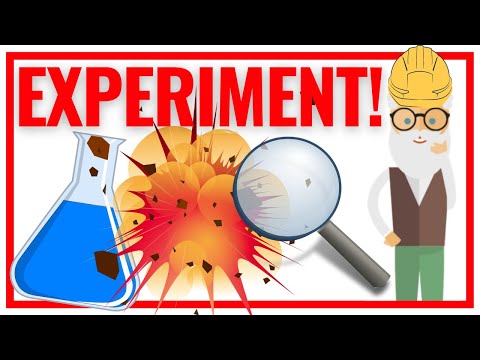 Video: Wie würden Sie ein vollständig randomisiertes Experiment verwenden?