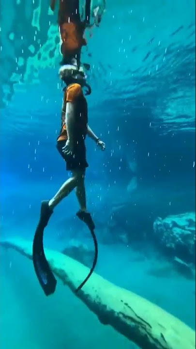 Adventure into the underwater world of Labuan Cermin Lake 😮 #shorts