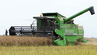 Deutz-Fahr 4068 Hts Combine Harvesting Canola Harvest 2023