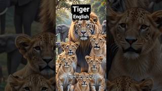 I am Tiger king of Forest #tiger #forest #jungle #english #learnenglish #learning #kids