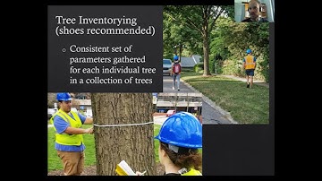 Tree Mapping: An Overview