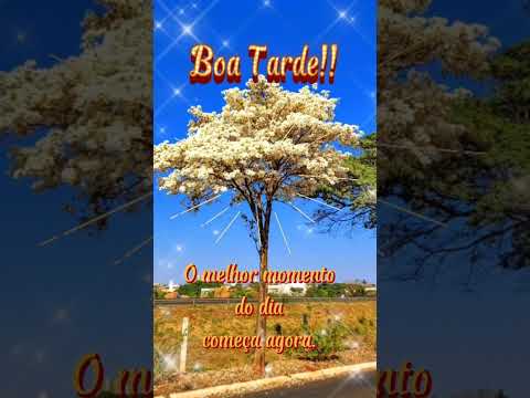 Boa tarde!!#mensagem #reflexão