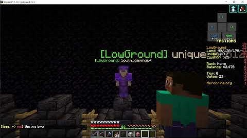 I GOT PIG PET IN HEROBRINE.ORG FACTION