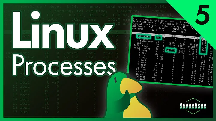 Linux for Programmers #5 | Processes top & htop
