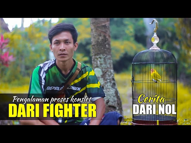 PENGALAMAN PROSES DARI NOL LOVEBIRD FIGHTER SAMPAI KONSLET (Kencana cup 1 Lampung) class=