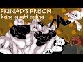 Pkinads prison  being caught ending