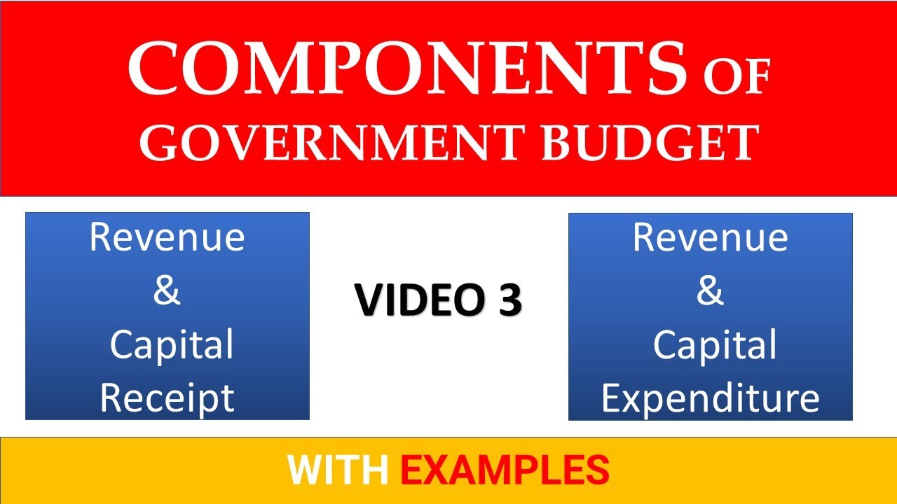 government budget assignment class 12