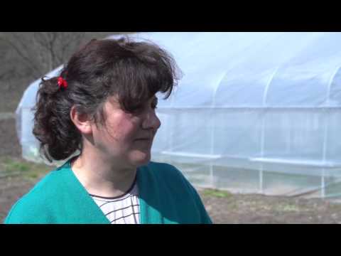 Video: Greenhouse Choice ընկերության ջերմոցներ և օջախներ
