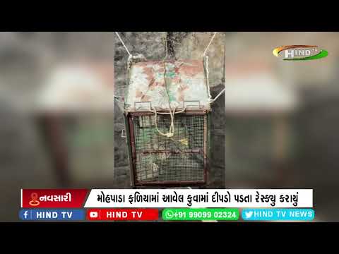 નવસારી જિલ્લાના ચીખલી તાલુકાના રૂમલા ગામમાં દીપડો