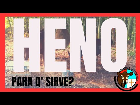 Video: ¿Qué significa entre heno y hierba?