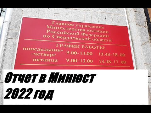 Отчет в Минюст РФ от НКО-поставщика соцуслуг в 2022 году (коротко).