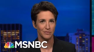 Getting Involved In The 2020 Election? Time To Hit The 'Go' Button! | Rachel Maddow | MSNBC
