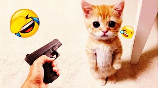 🐕❤️ New Funny Cats and Dogs Videos 😻😂 Best Funny Animal Videos 2024 # 65