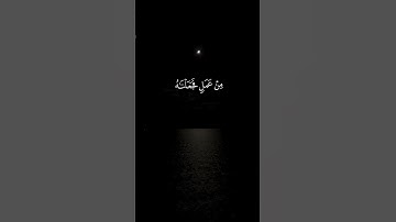 #القارئ عبدالرحمن مسعد