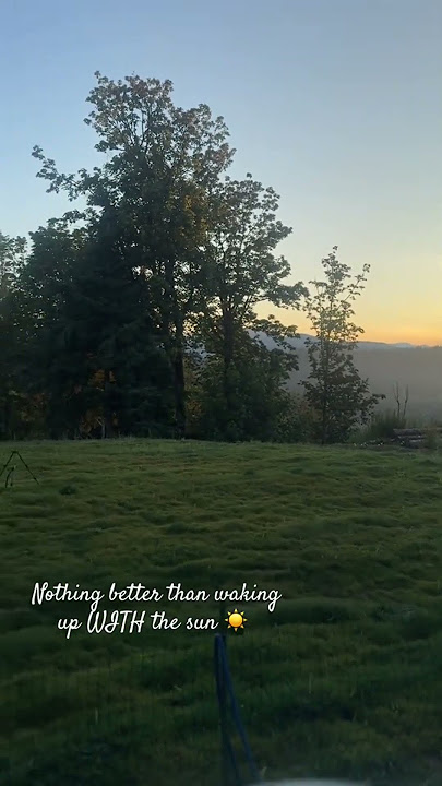 Sunrises are my absolute favorite #views #fy