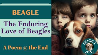 Beagle | Everything You Need to Know About This Beloved Dog Breed | Dog Lovers