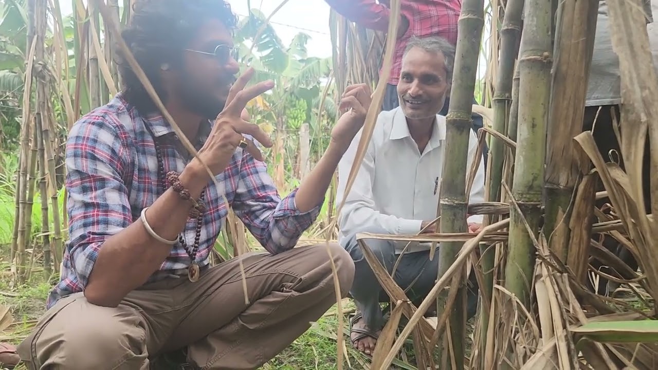 गन्ना खेती Sugarcane farming 5x4 उत्तर प्रदेश में बदलाव 9407038222 किसान पाठशाला Dr BALRAMKISAN-4789