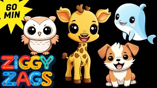 Baby Sensory ๐บ๐ถ๐ง Cute Adorable Baby Animals ๐ผ๐ Fun Chill Music