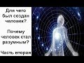 Для чего был создан человек?  Почему человек стал разумным? Часть вторая