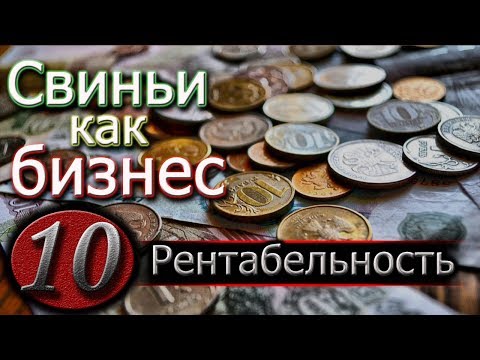 Свиноводство как бизнес в домашних условиях выгодно или нет