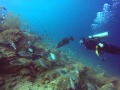 Buceo en Chichiriviche de la Costa, Venezuela 2014