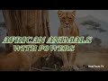 African Animals With Unique Powers You Won’t Believe