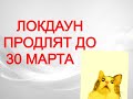 Локдаун продлевается до 30 марта 2021 ?