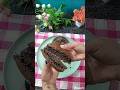 How to make chocolate dora cakes at home 👍#shotrs #ytshorts #cooking #viralvideo #foodie #youtube