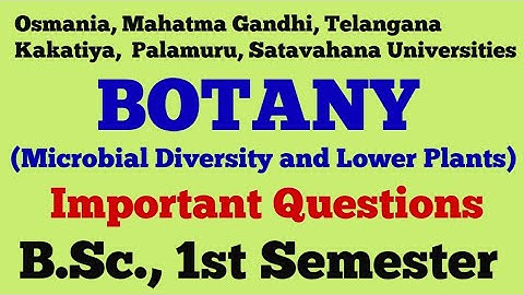 Botany | Microbial Diversity and Lower Plants | Important Questions| B.Sc., 1st Semester |UG|Degree