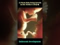 Embryonic development #baby #pregnancy #youtubeshorts #shorts