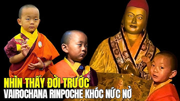 Nhìn thấy đời trước Vairochana Rinpoche khóc nức nở 