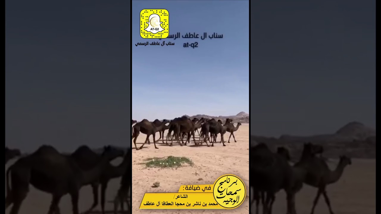 سناب ال عاطف الرسمي (برنامج سمحات الوجيه) في ضيافةالشاعر/ محمد بن ناشر بن محجا العطافا ال عاطف