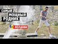 МОЛДОВА | 100 родников Котова. Самый большой источник воды, усадьбы и страусиная ферма