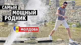 МОЛДОВА | 100 родников Котова. Самый большой источник воды, усадьбы и страусиная ферма