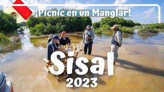 PÍCNIC EN UN MANGLAR! Un santuario natural en Sisal, México  Luisitoviajero