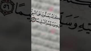 صلوا على المبعوث فينا رحمة تكتب لكم عشرا لدى الرحمن 《صل الله عليه وسلم 》