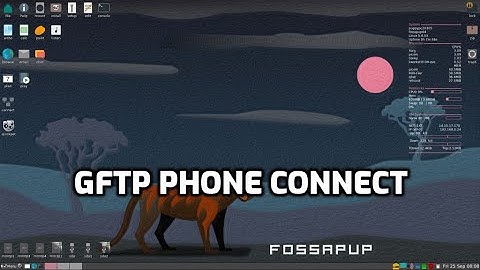 Use gFTP to connect to cellular phone to download files, using puppylinux