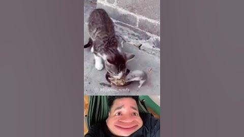 hài hước b10 có phúc cùng hưởng