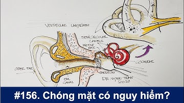 #156. Chóng mặt có nguy hiểm?