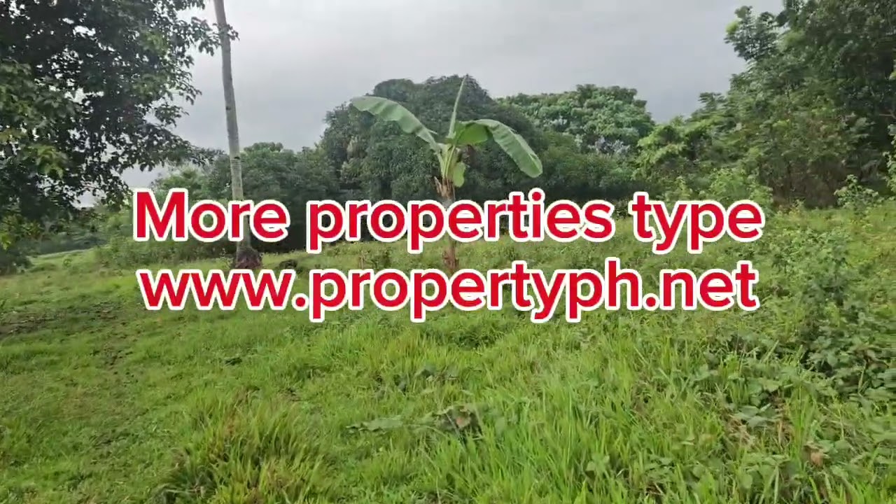 5 имеет чистый титул Убай Бохол Филиппины 250 песо за кв.м. возможен торг.