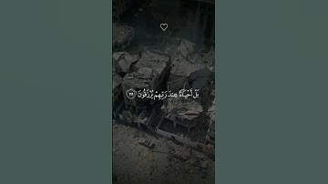 اللهم أنصر إخواننا في فلسطين  #غزة #فلسطين #تلاوات #قرآن #ياسر_الدوسري
