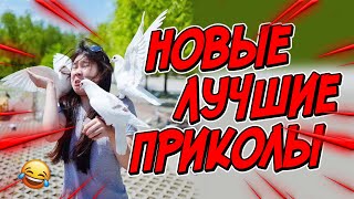 😂Я РЖАЛ ДО СЛЕЗ| ПРИКОЛЫ ЗА ДЕКАБРЬ | FUNNY MOMENTS 2023 | 13 МИНУТ СМЕХА! | #356