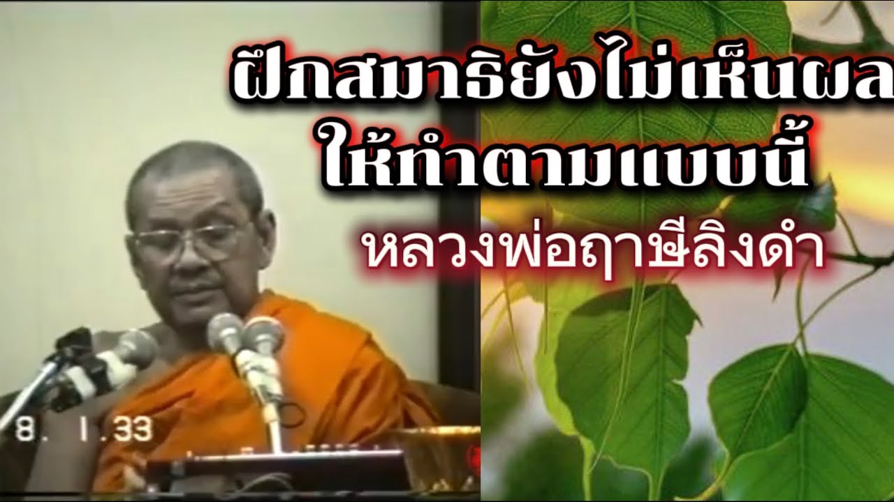 ฝึกสมาธิยังไม่เห็นผลให้ทำตามแบบนี้เห็นผลได้ หลวงพ่อฤาษีลิงดำ (ไม่มีโฆษณาแทรก)