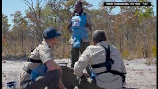 RAW: Prince Harry visits mine field in Angola his mom Princess Diana made famous