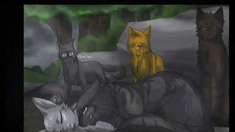 Warrior cats~Greystripe and Silverstream tribute~Faded