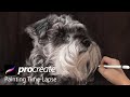 Dog painting time lapse ｜Procreate ｜Schnauzer Dog